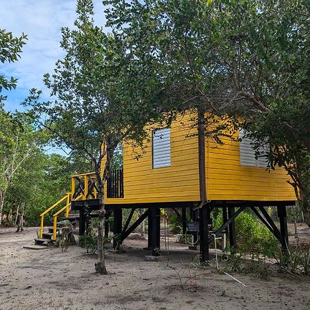 Palmento Grove Garifuna Eco-Cultural & Healing Institute Hopkins Exterior photo