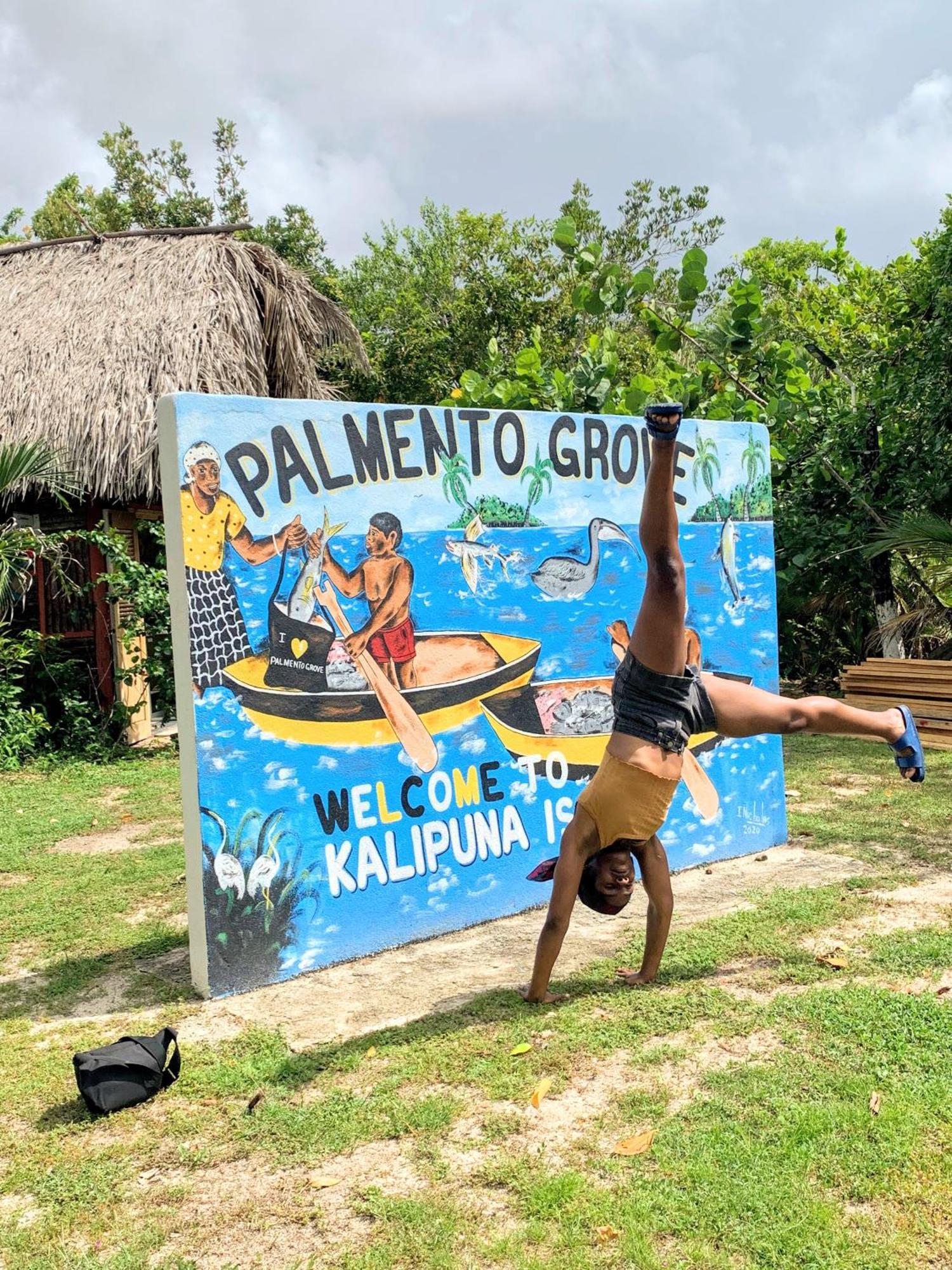 Palmento Grove Garifuna Eco-Cultural & Healing Institute Hopkins Exterior photo