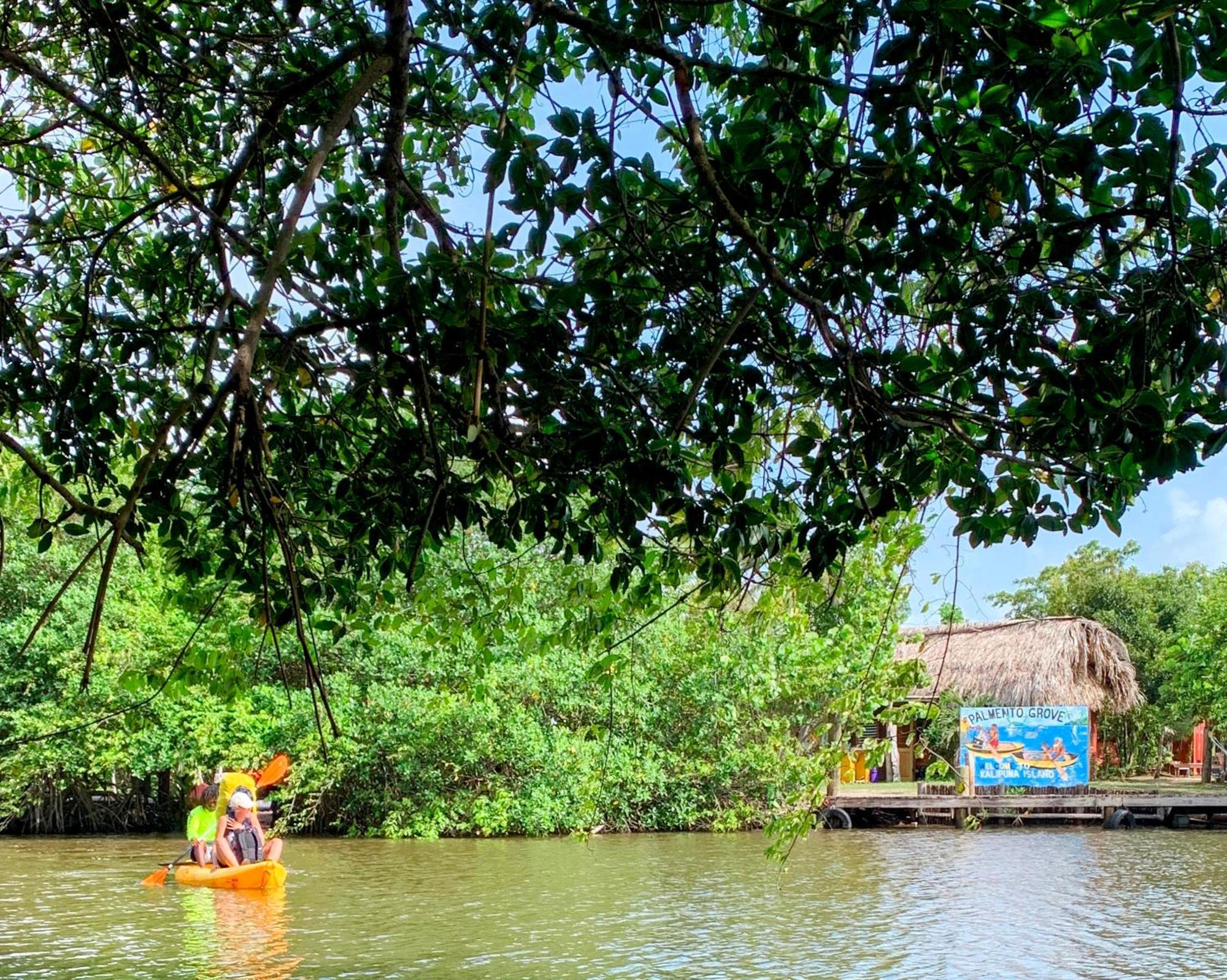Palmento Grove Garifuna Eco-Cultural & Healing Institute Hopkins Exterior photo