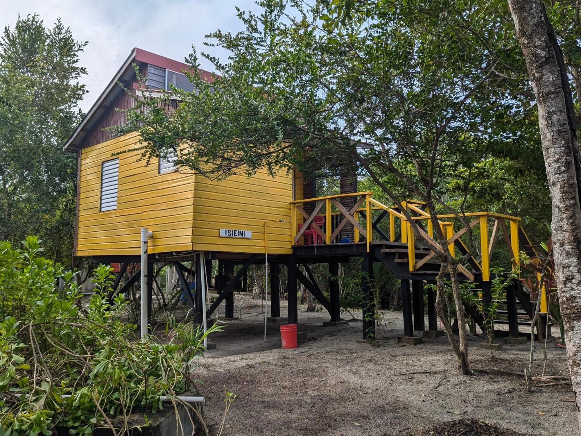 Palmento Grove Garifuna Eco-Cultural & Healing Institute Hopkins Exterior photo