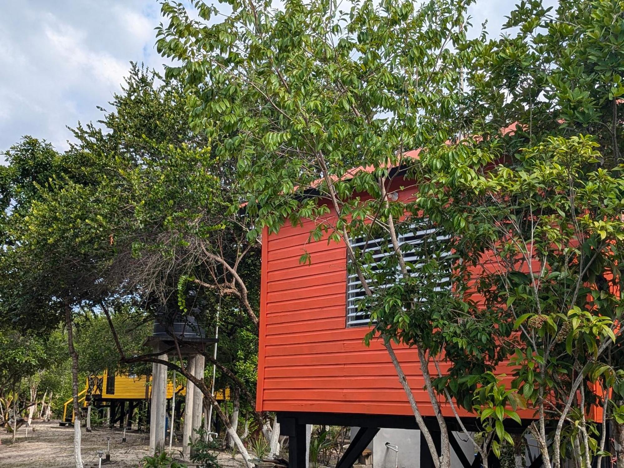 Palmento Grove Garifuna Eco-Cultural & Healing Institute Hopkins Exterior photo
