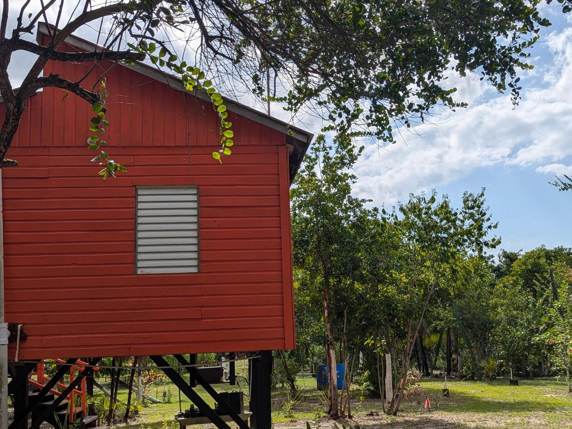 Palmento Grove Garifuna Eco-Cultural & Healing Institute Hopkins Exterior photo