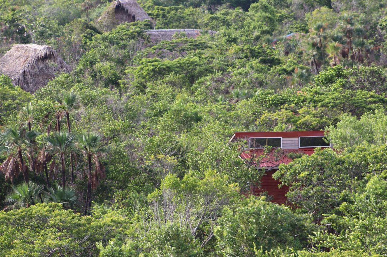 Palmento Grove Garifuna Eco-Cultural & Healing Institute Hopkins Exterior photo