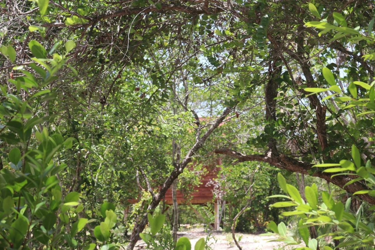 Palmento Grove Garifuna Eco-Cultural & Healing Institute Hopkins Exterior photo