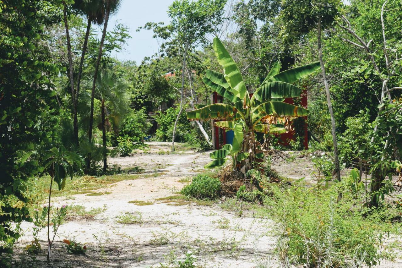 Palmento Grove Garifuna Eco-Cultural & Healing Institute Hopkins Exterior photo